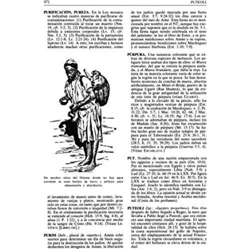 Nuevo diccionario bíblico ilustrado (Spanish Edition)