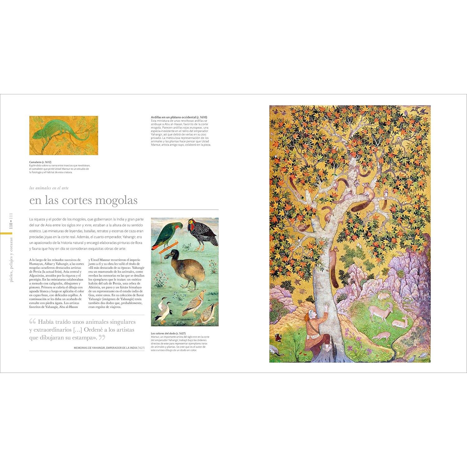 Fauna (Zoology): El mundo secreto de los animales (DK Secret World Encyclopedias) (Spanish Edition)