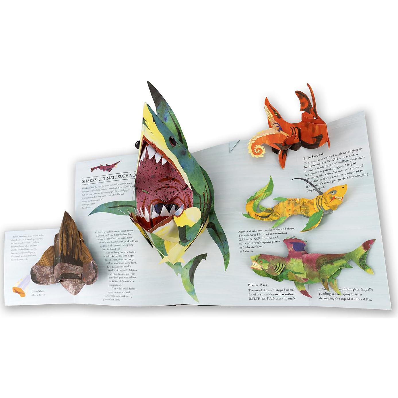 Encyclopedia Prehistorica: Sharks and Other Sea Monsters