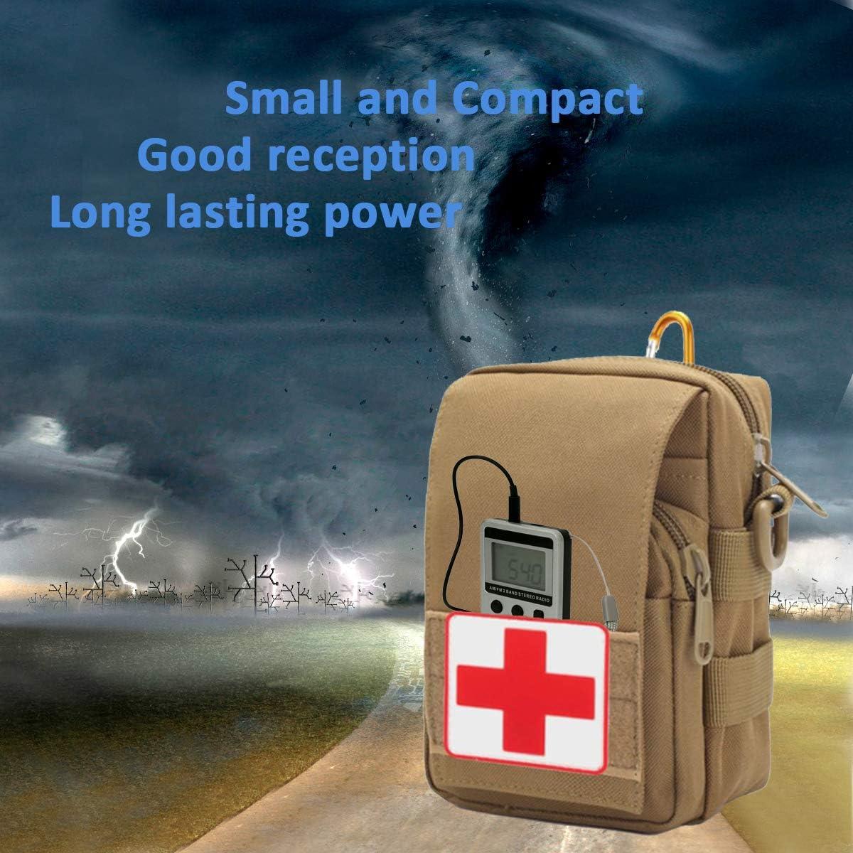 Radio de Bolsillo Flyoukki AM FM Compacta Plata con Auriculares