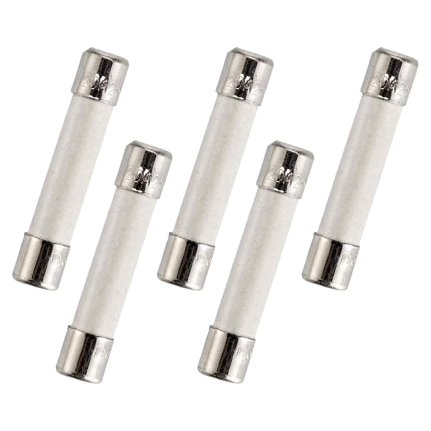 Fusible de Microondas BlueCatELE 20A 250V Lento 5-Pack