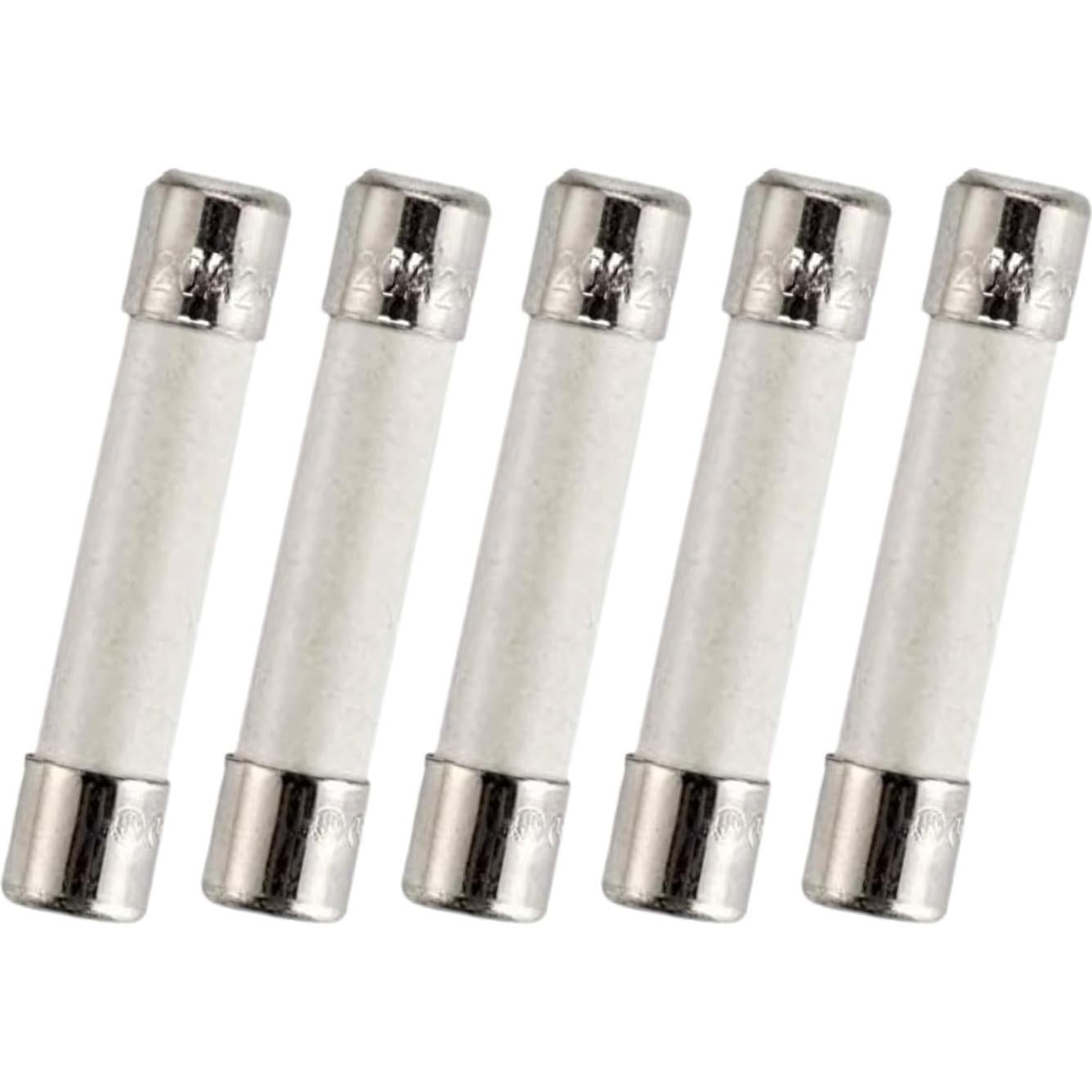 Fusible de Microondas BlueCatELE 20A 250V Lento 5-Pack