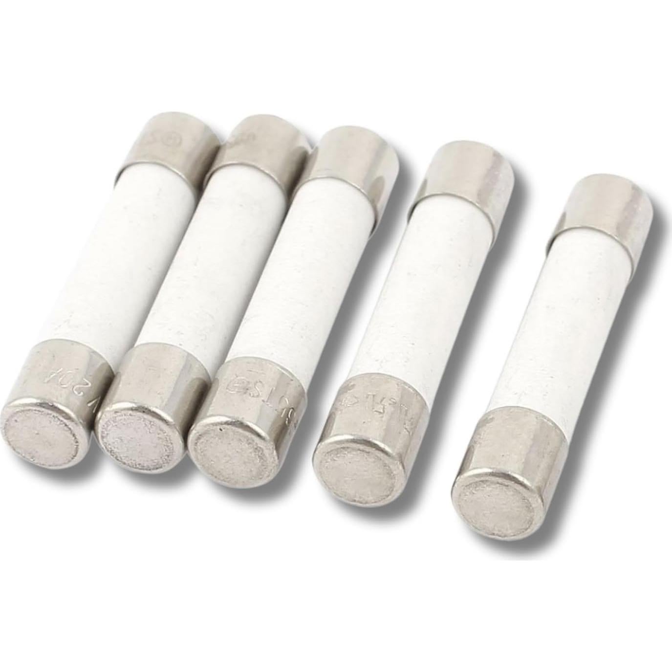 Fusible de Microondas BlueCatELE 20A 250V Lento 5-Pack