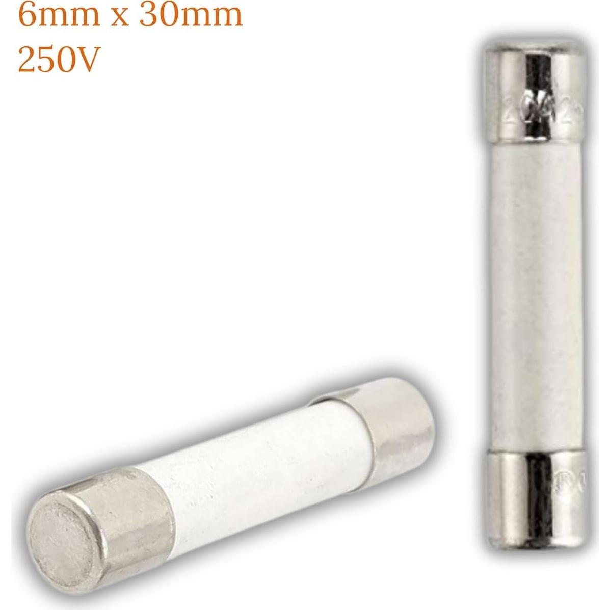 Fusible de Microondas BlueCatELE 20A 250V Lento 5-Pack