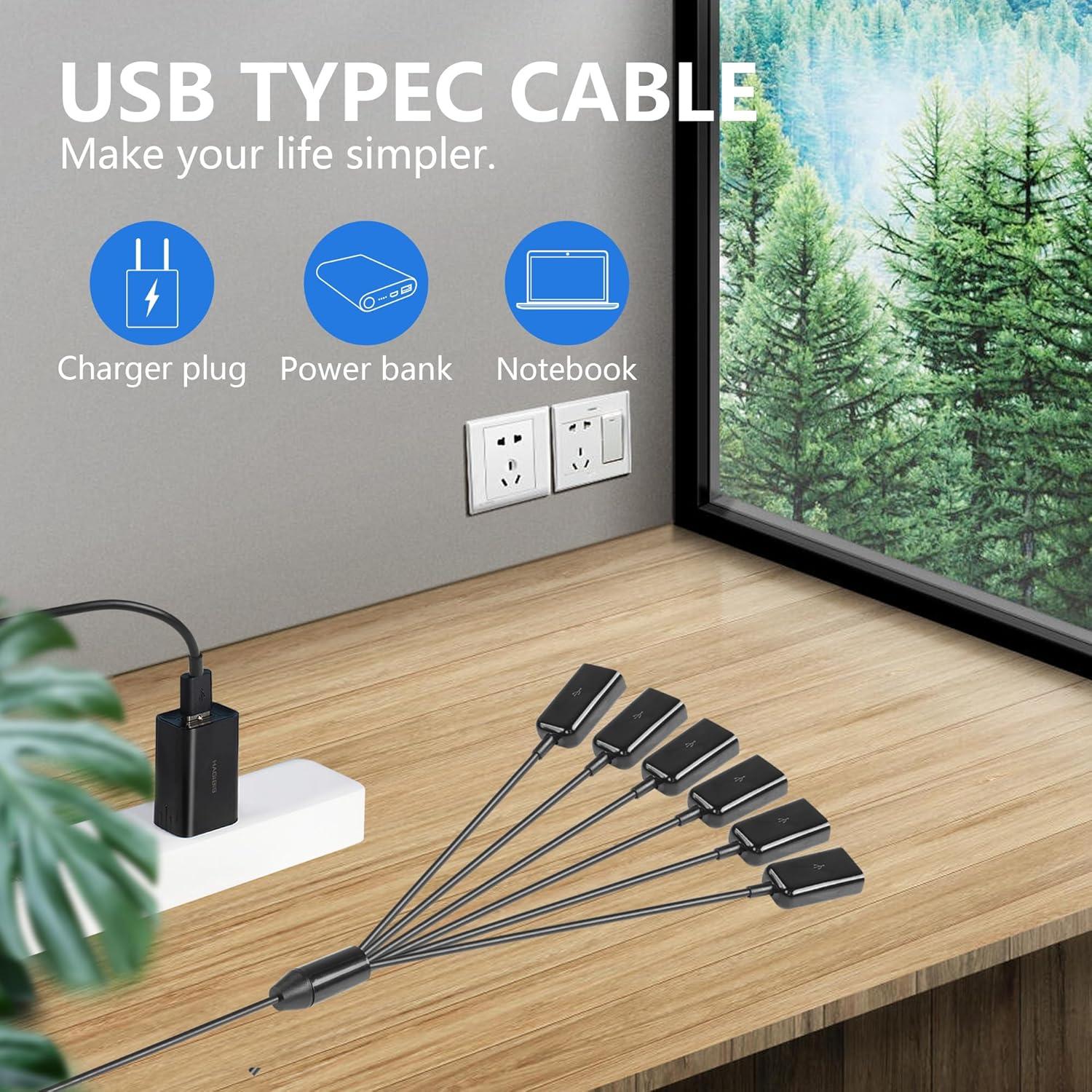 Cable Divisor USB 2.0 CERRXIAN 1 a 6 Hembras 0.5m