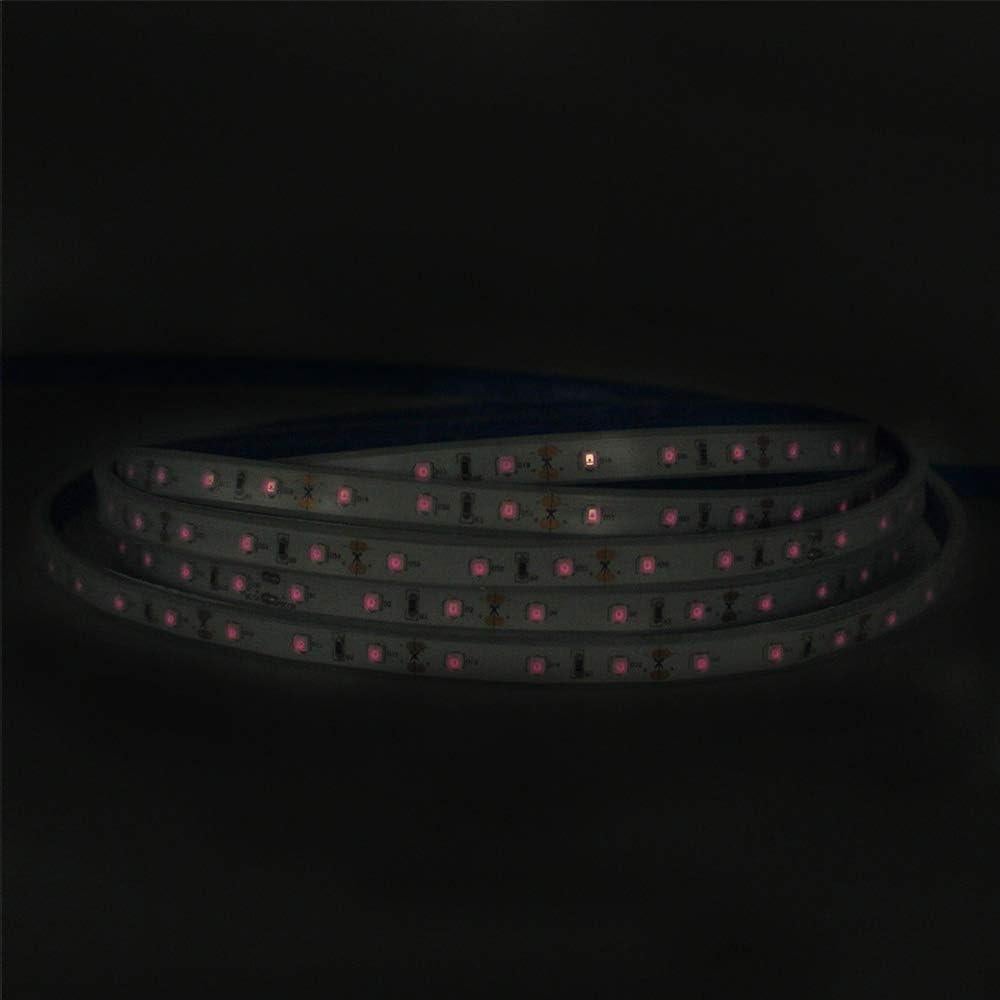 Tira LED Infrarroja 940nm SMD3528 5M 300LEDs 12V 24W IP67