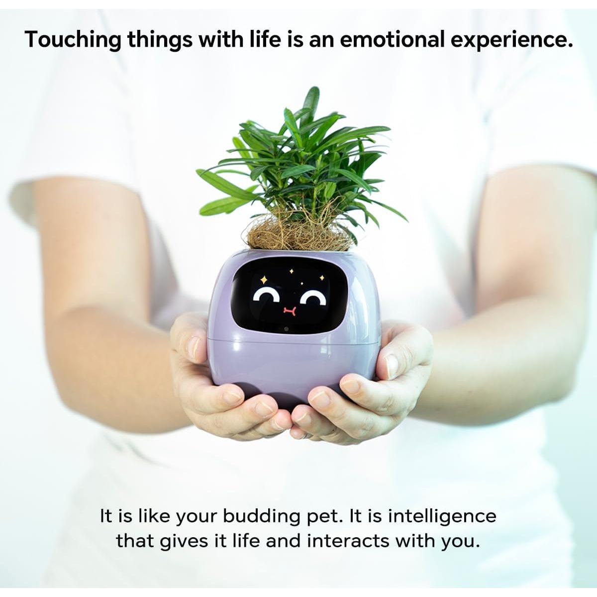 Maceta Inteligente Itigoitie con Pantalla LCD y Sensor Táctil