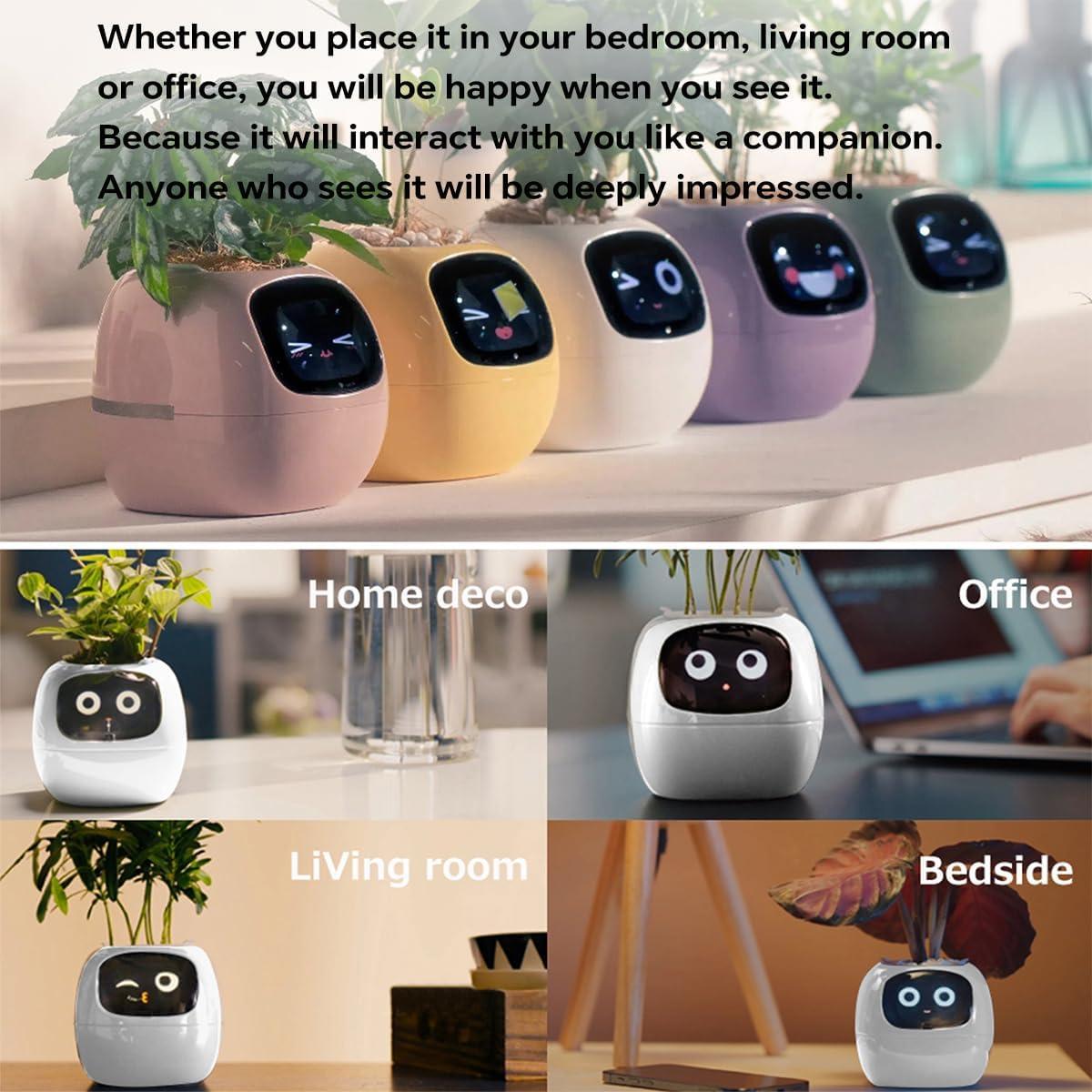 Maceta Inteligente Itigoitie con Pantalla LCD y Sensor Táctil