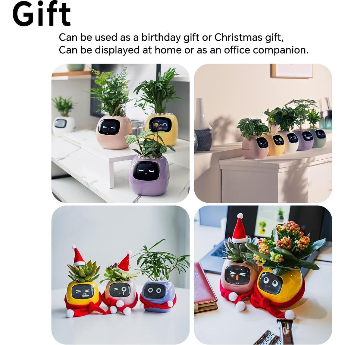 Maceta Inteligente Itigoitie con Pantalla LCD y Sensor Táctil