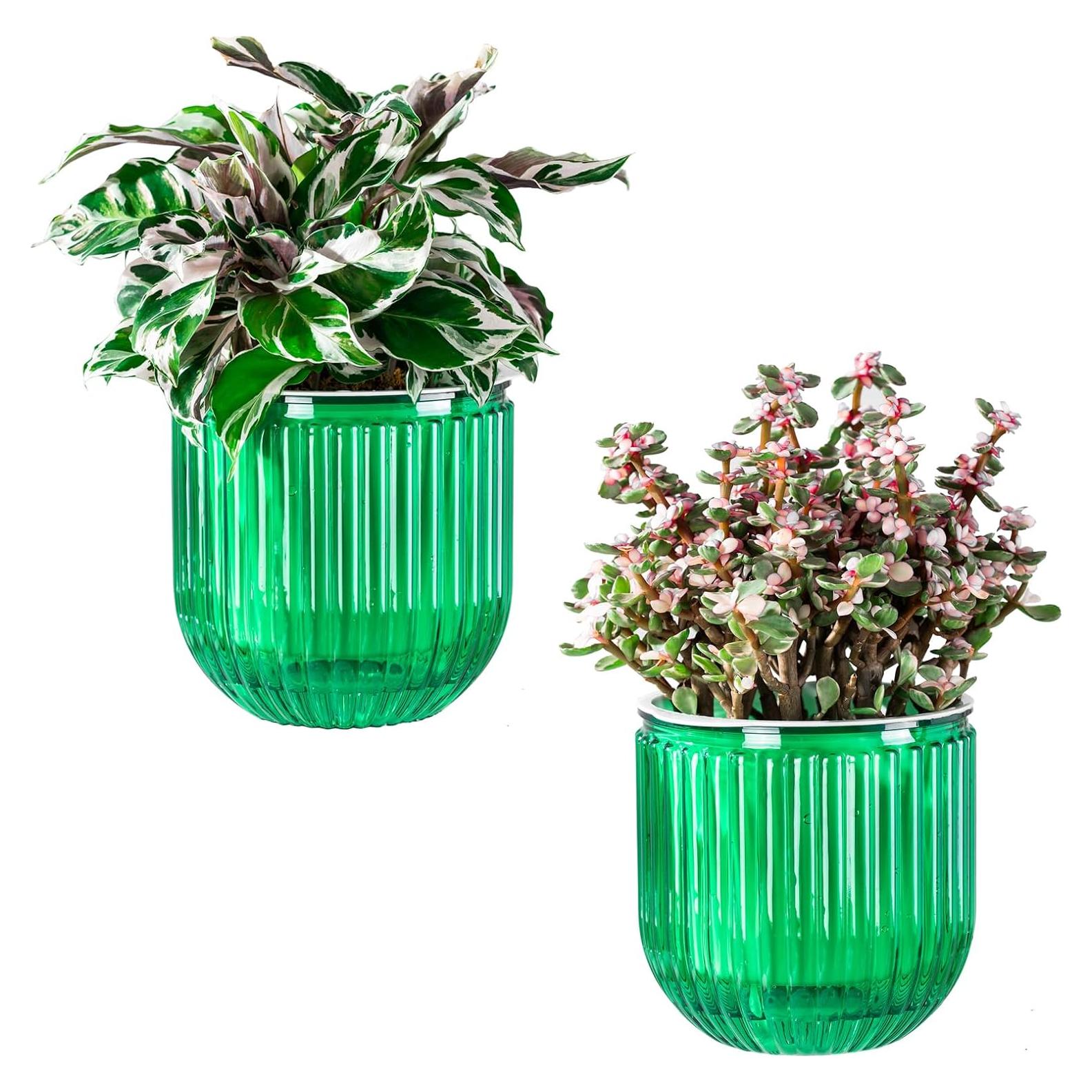 Macetas Autorriego Melphoe 13.5 cm Esmeralda para Plantas