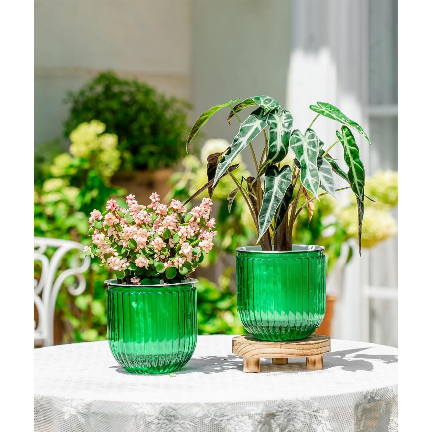 Macetas Autorriego Melphoe 13.5 cm Esmeralda para Plantas