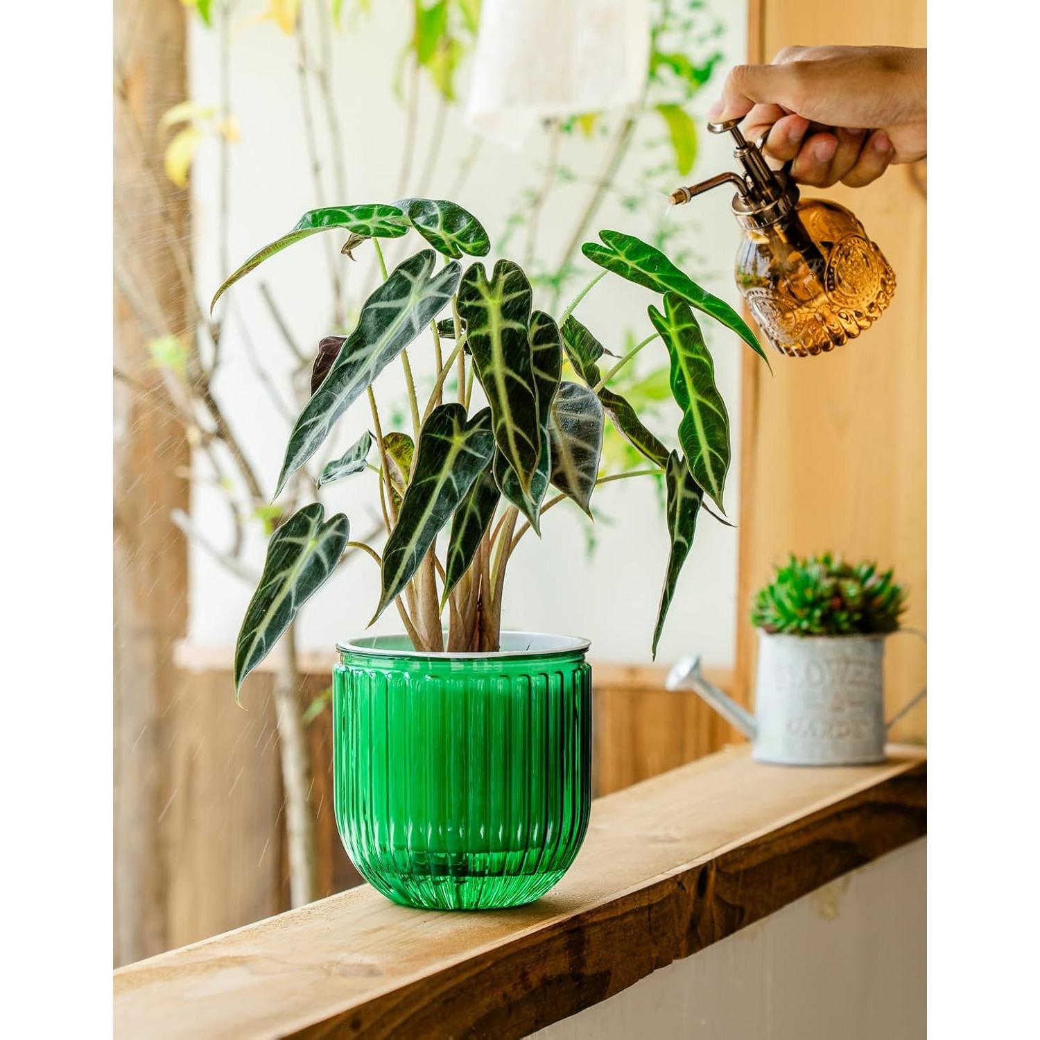 Macetas Autorriego Melphoe 13.5 cm Esmeralda para Plantas