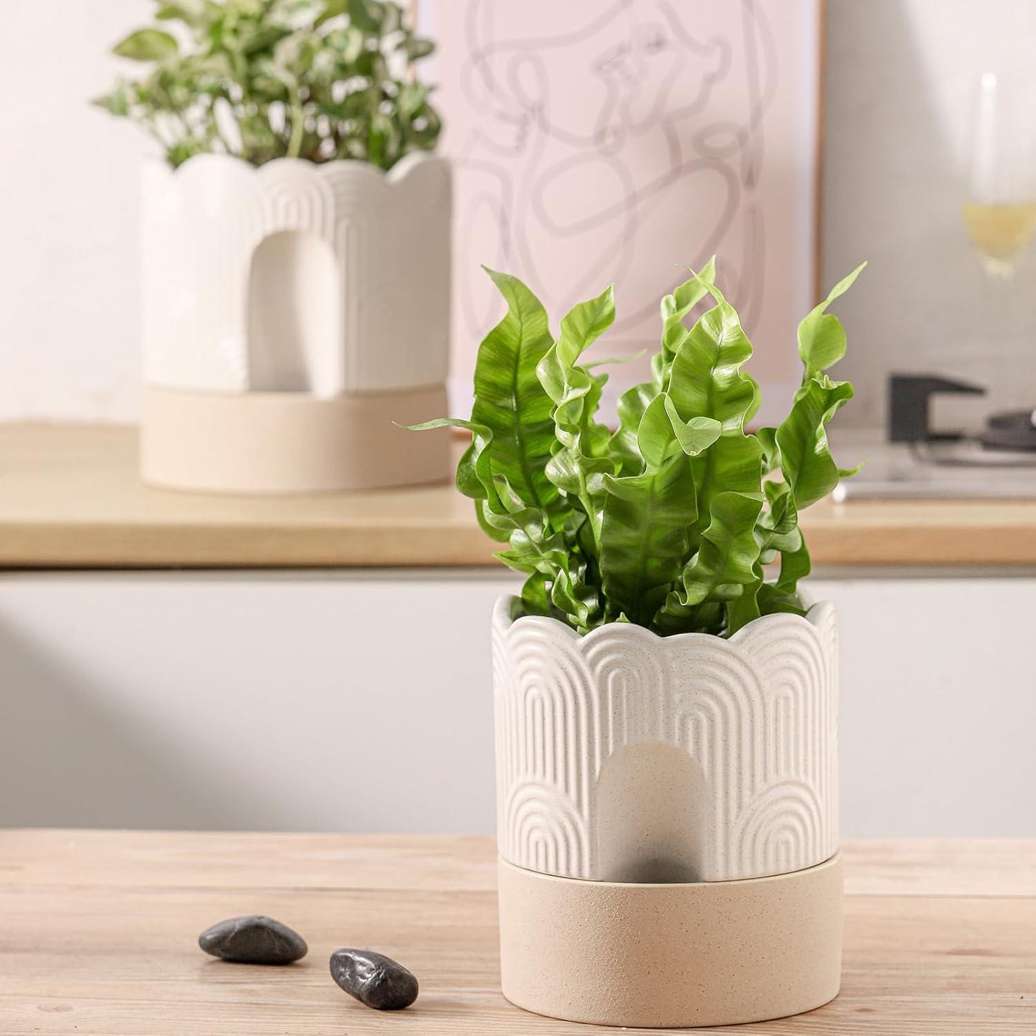 Maceta Autorriego Nihow 15 cm Cerámica Beige y Natural