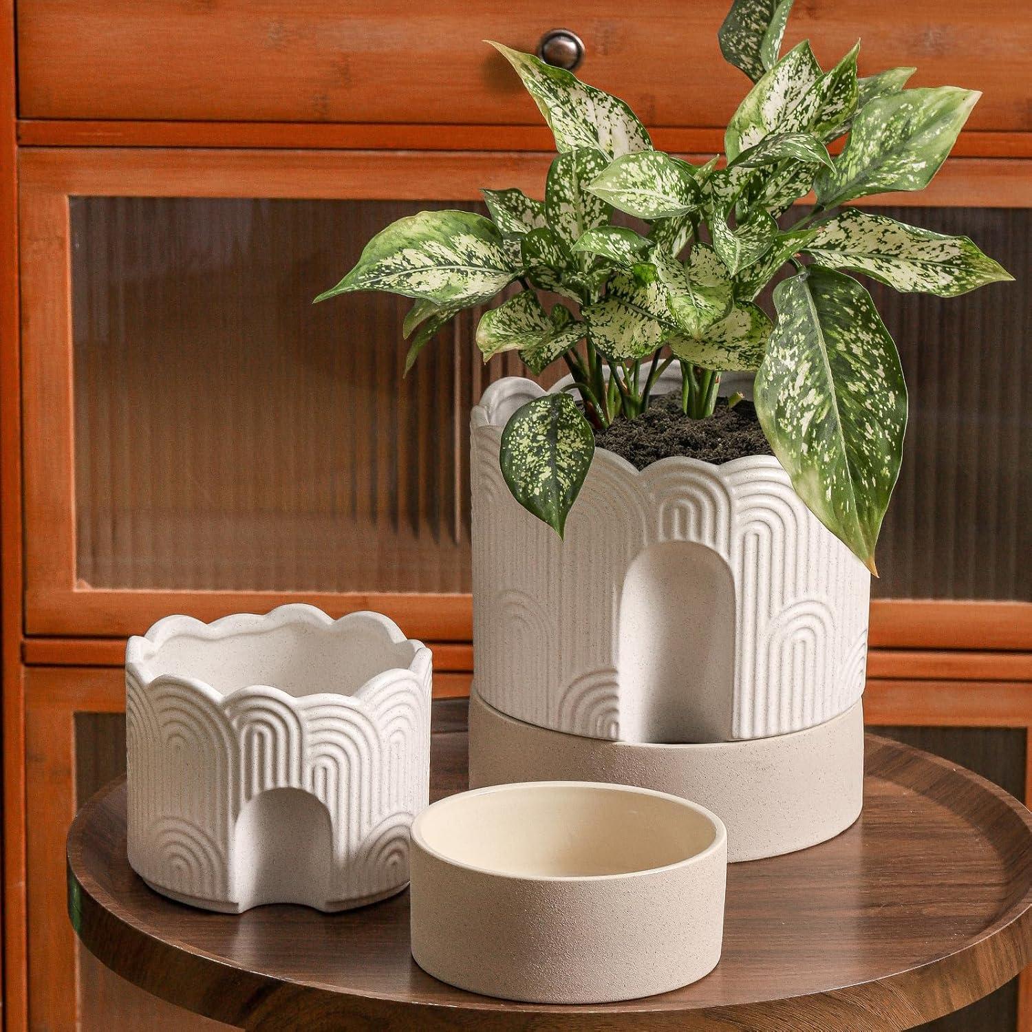 Maceta Autorriego Nihow 15 cm Cerámica Beige y Natural