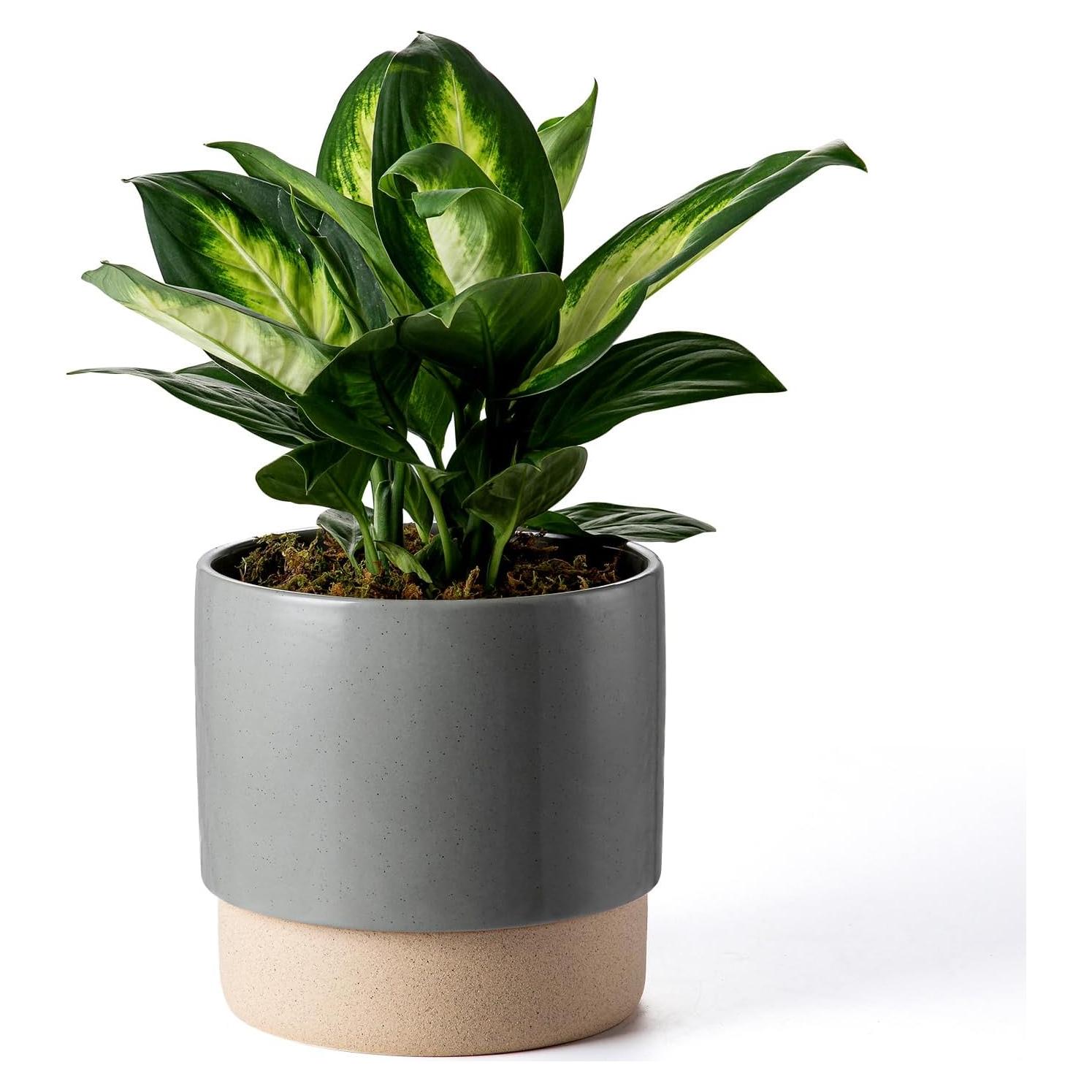 Maceta de Cerámica Autorriego Chubacoo 20 cm Gris Oscuro