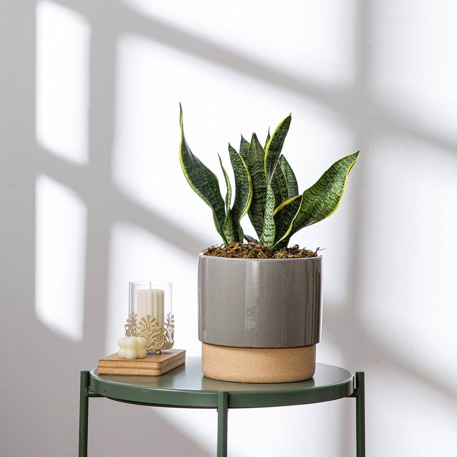 Maceta de Cerámica Autorriego Chubacoo 20 cm Gris Oscuro