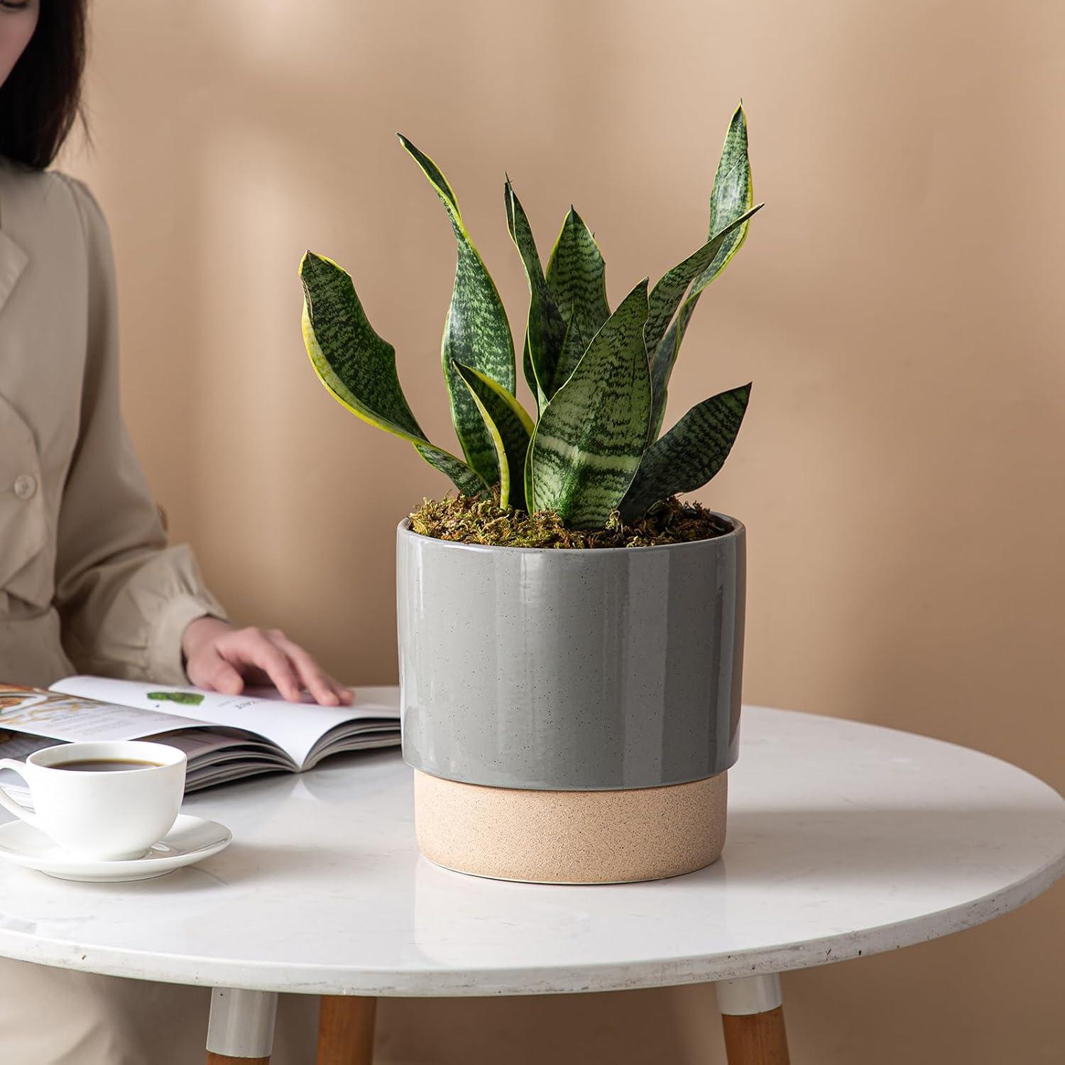 Maceta de Cerámica Autorriego Chubacoo 20 cm Gris Oscuro