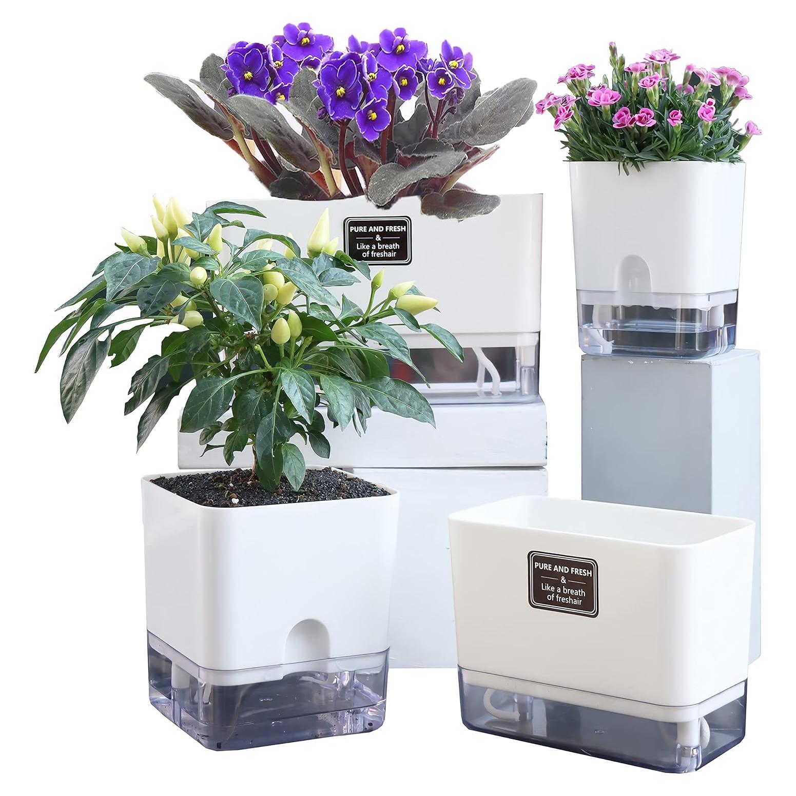 Macetas Autorriego FAMZ 4 Pack Cuadradas Transparentes 10" 7" 5.5" 4.3"