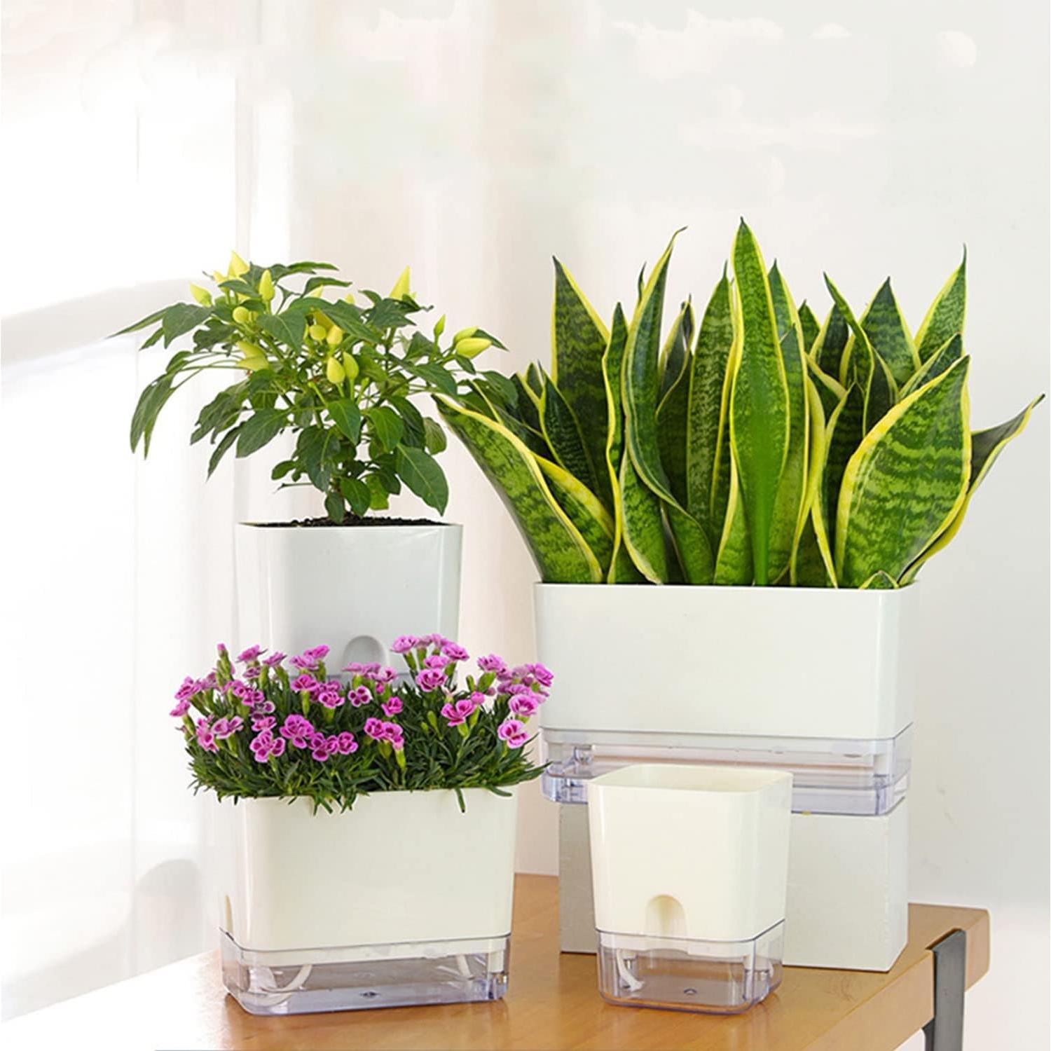 Macetas Autorriego FAMZ 4 Pack Cuadradas Transparentes 10" 7" 5.5" 4.3"