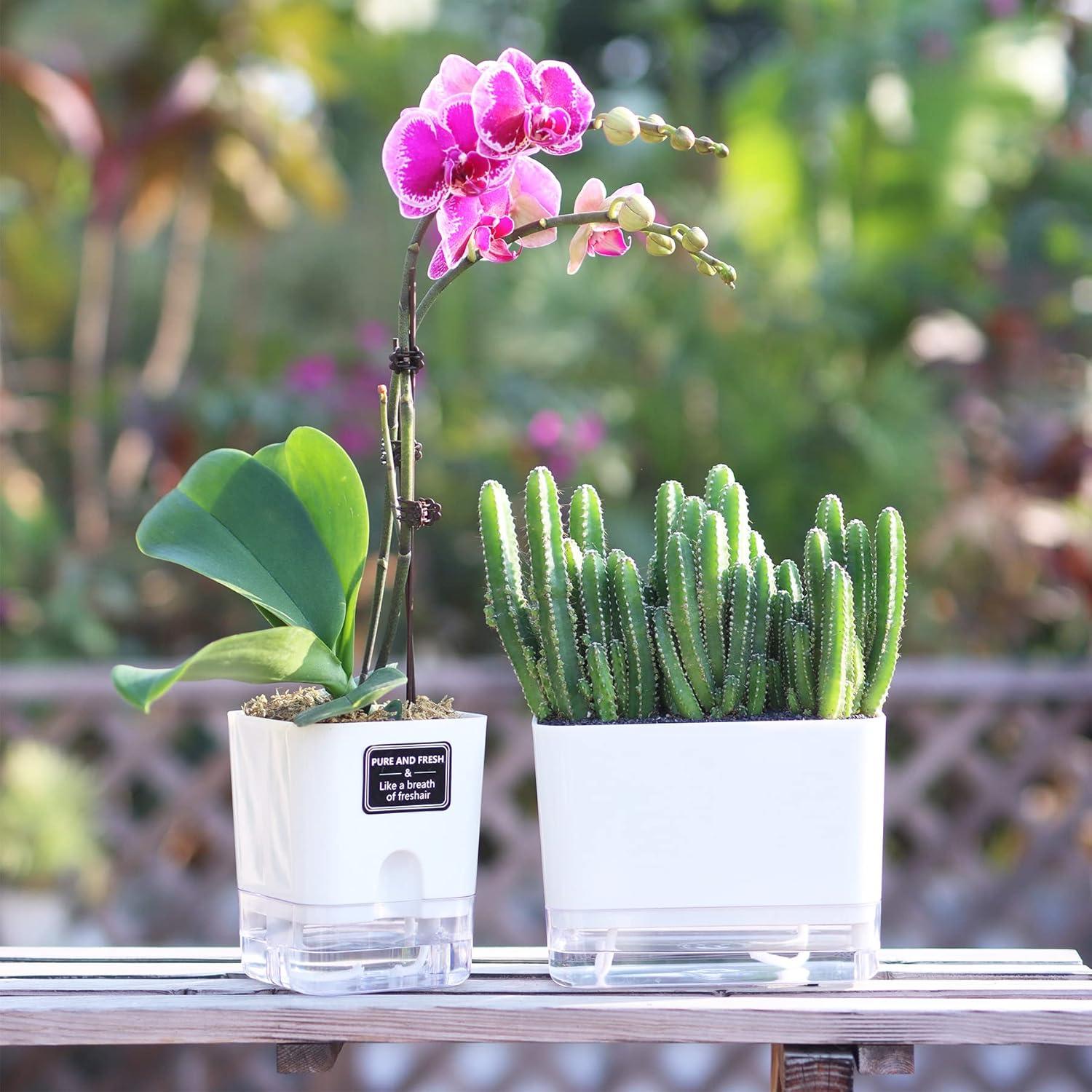 Macetas Autorriego FAMZ 4 Pack Cuadradas Transparentes 10" 7" 5.5" 4.3"