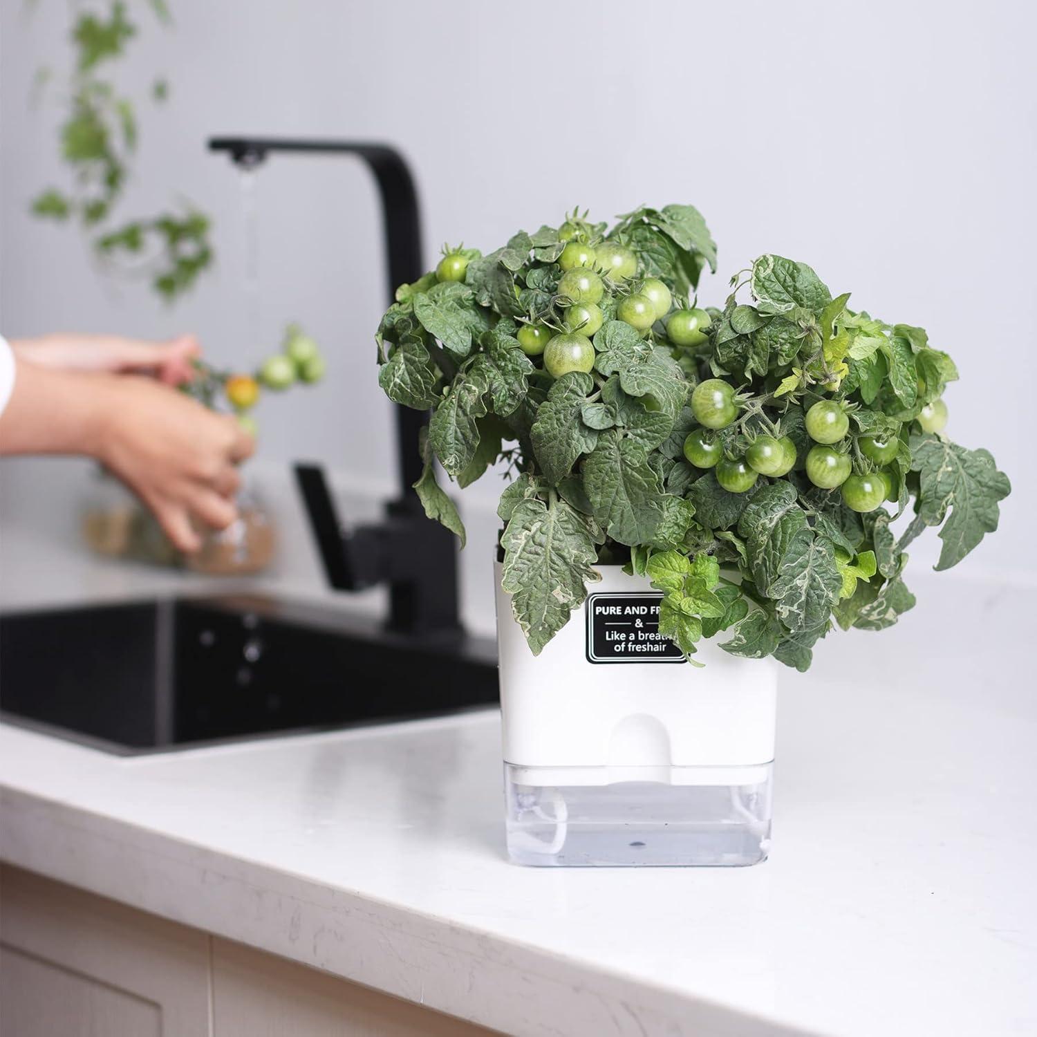 Macetas Autorriego FAMZ 4 Pack Cuadradas Transparentes 10" 7" 5.5" 4.3"