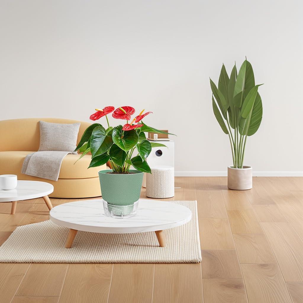 Maceta de Autorriego HYNZ 15 cm Juego de 5 Colores Mezclados