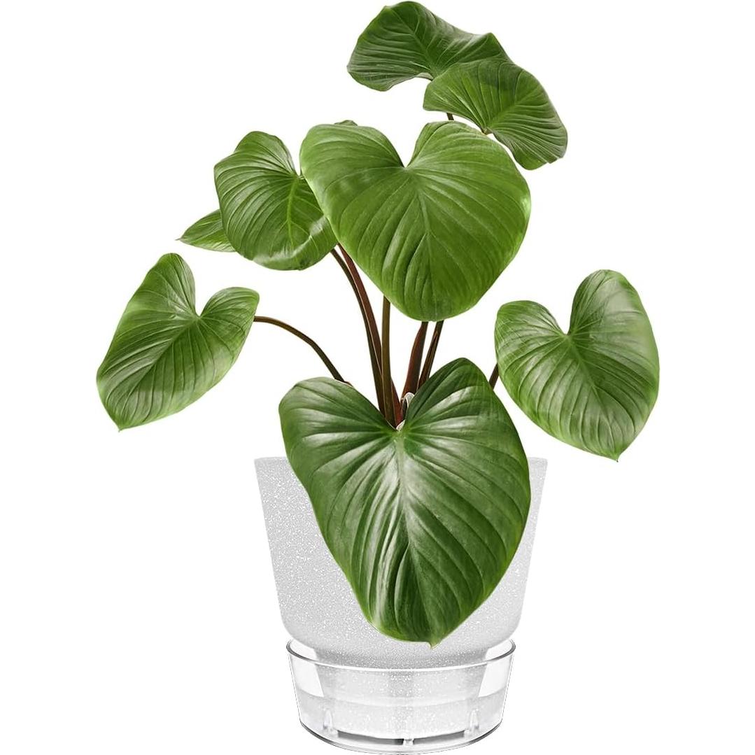 Maceta de Autorriego HYNZ 15 cm Juego de 5 Colores Mezclados