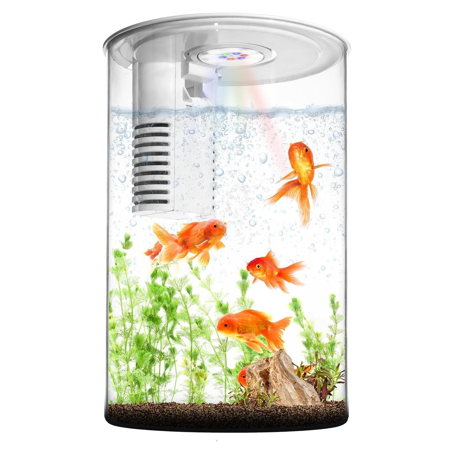 Acuario de Escritorio 3 Galones Zingbabu con Luz LED 7 Colores