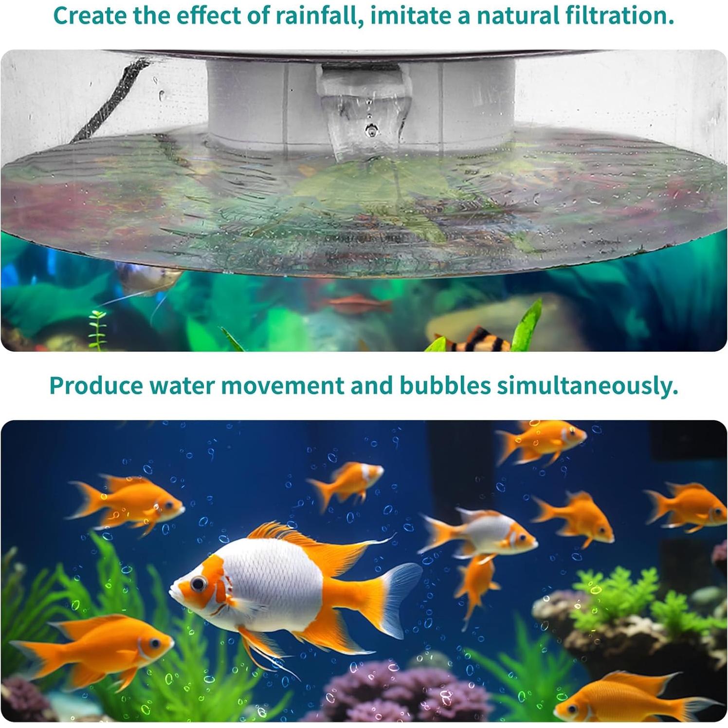 Acuario de Escritorio 3 Galones Zingbabu con Luz LED 7 Colores