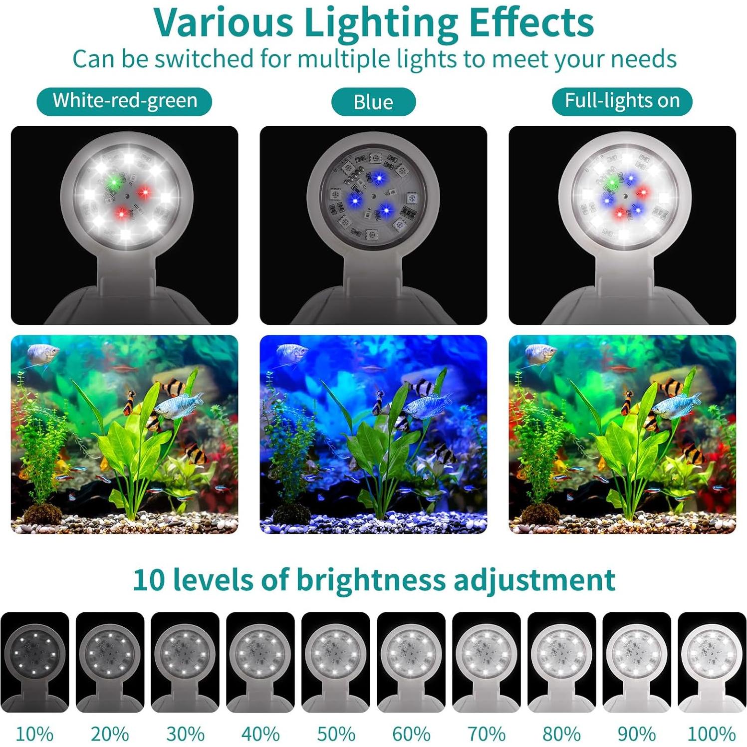 Acuario de Escritorio 3 Galones Zingbabu con Luz LED 7 Colores