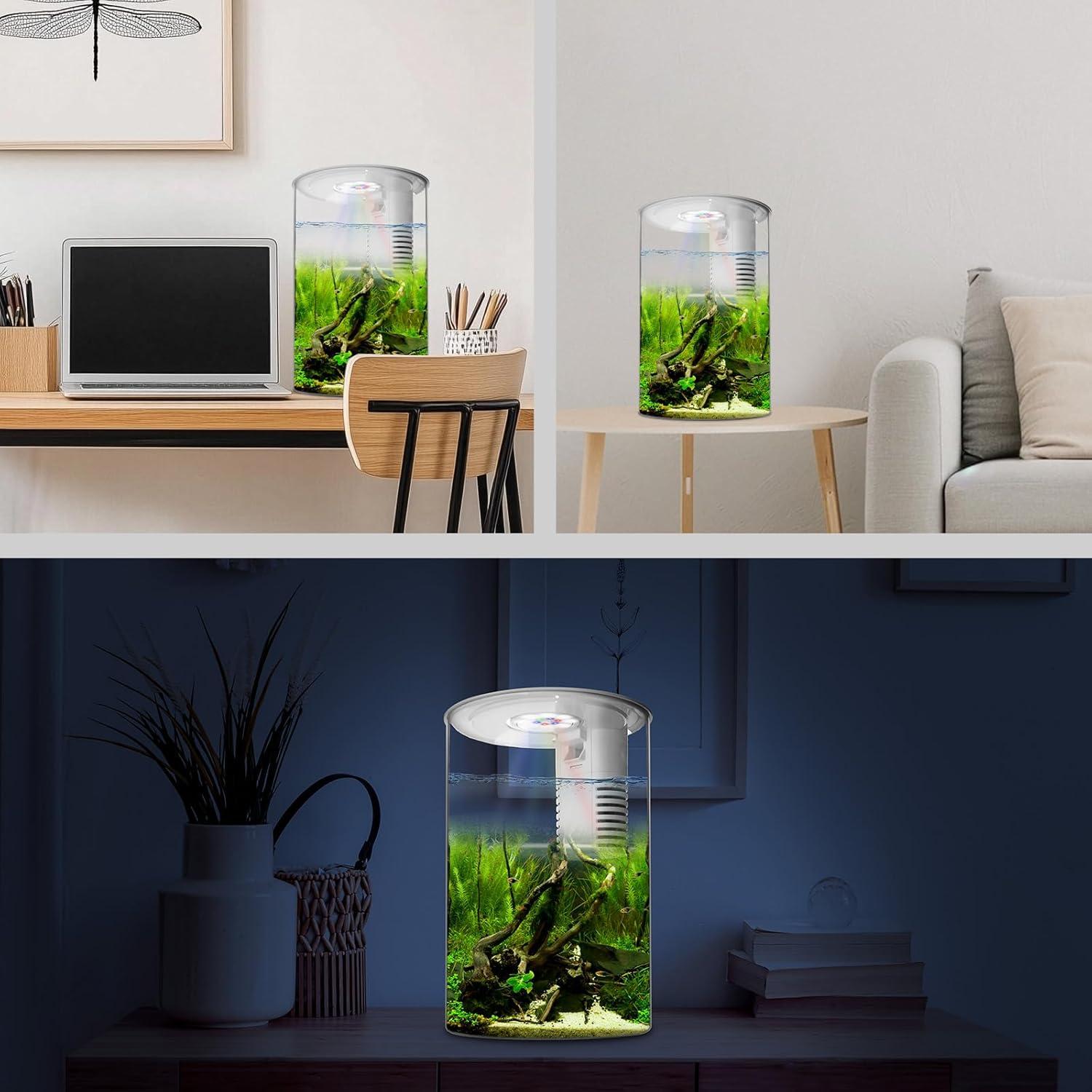 Acuario de Escritorio 3 Galones Zingbabu con Luz LED 7 Colores