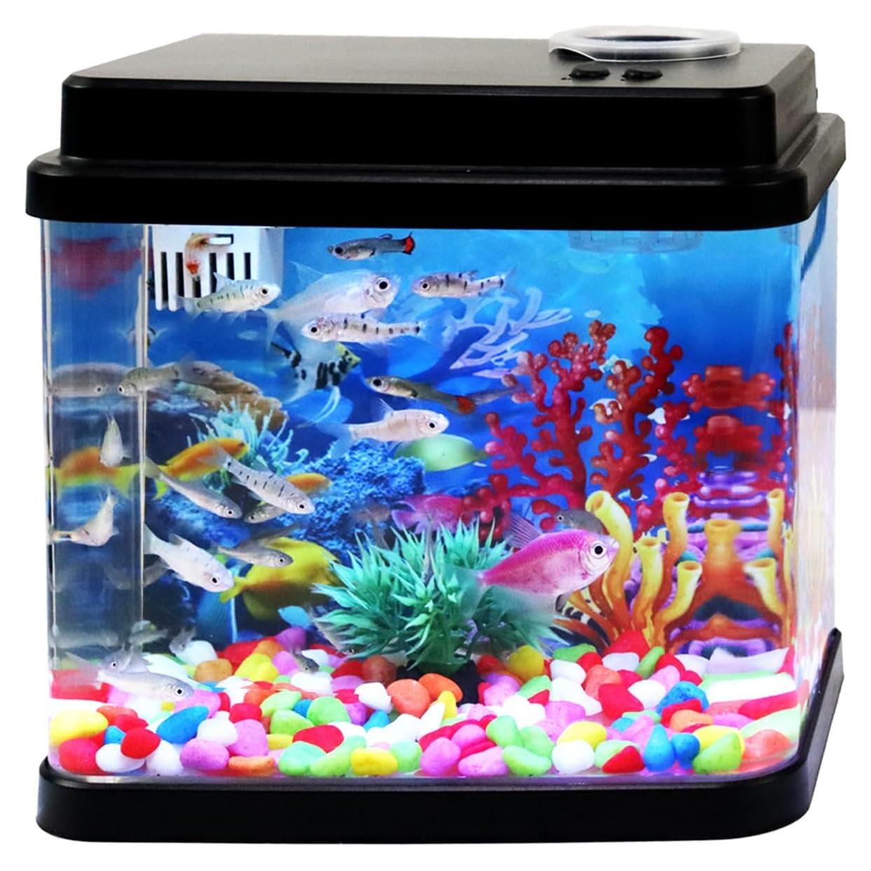 Mini Acuario 1 Galón Toycol con LED 6 Colores y Bomba 3-en-1