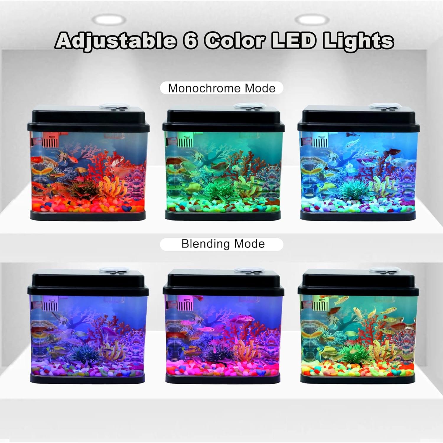 Mini Acuario 1 Galón Toycol con LED 6 Colores y Bomba 3-en-1