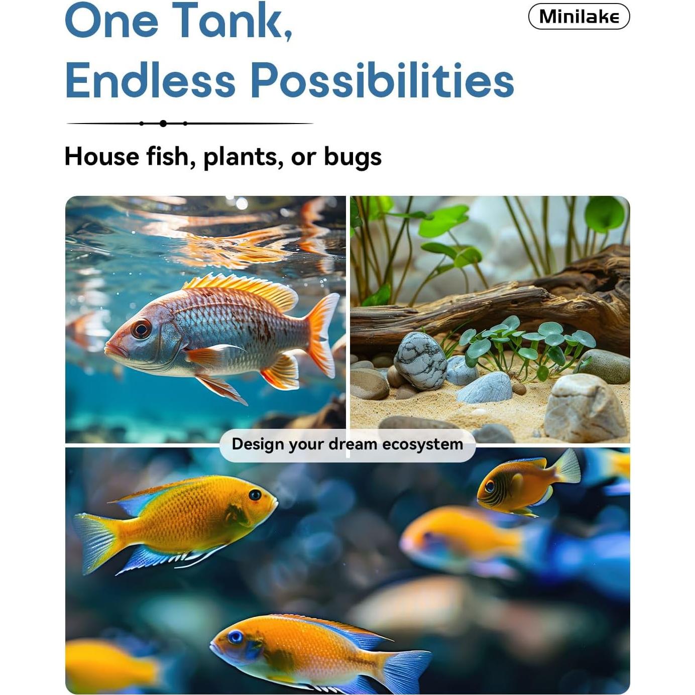 Kit Acuario de Vidrio 9.5 L Minilake con Filtro y Luz LED