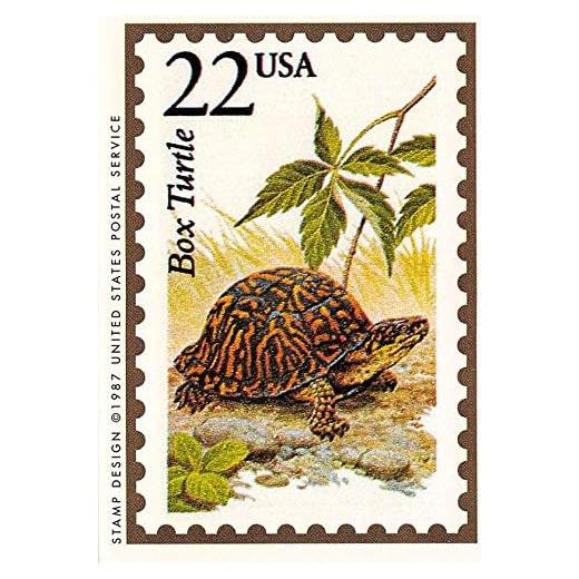 Tarjeta de Comercio Tortuga de Caja 1991 Autografiada