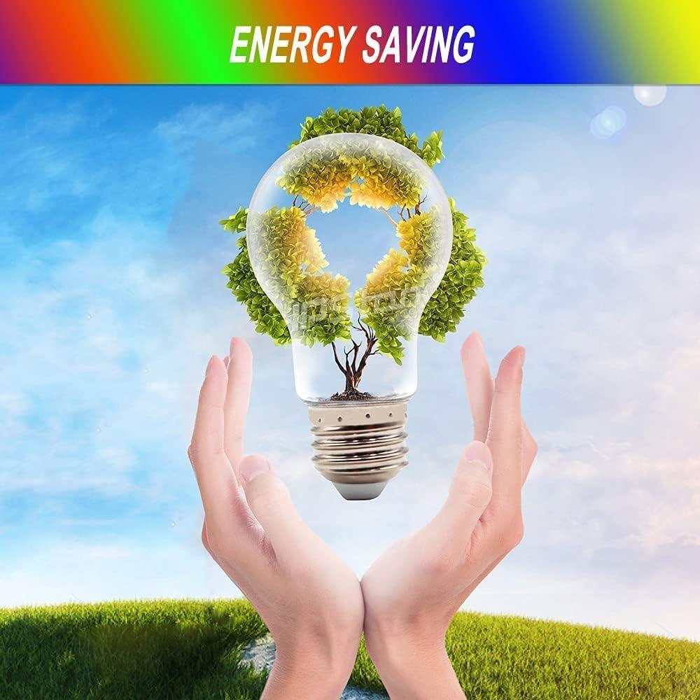 Luces de Cadena LED RGB Auroraworld 10.67M con Control Remoto