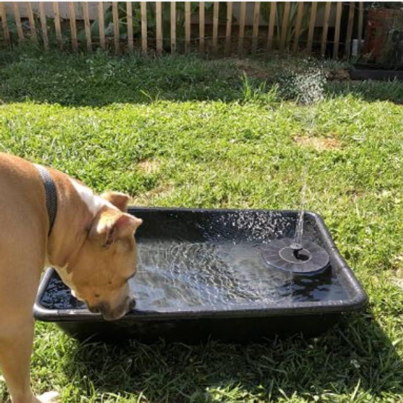 Fuente de Agua Solar Honche 1.5W con 6 Boquillas Intercambiables