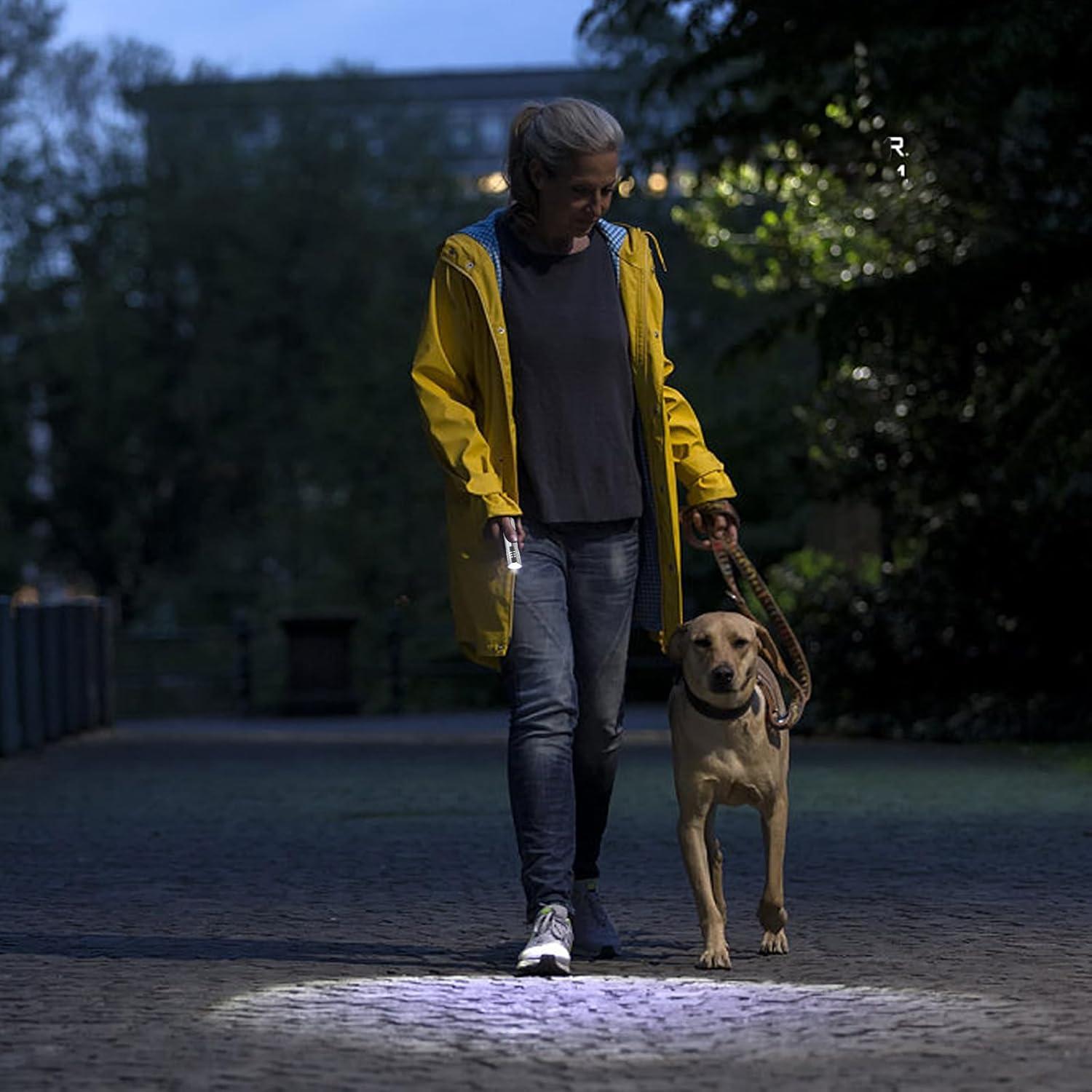 Paquete de 6 Linternas LED Recargables Hilngav 300 Lúmenes