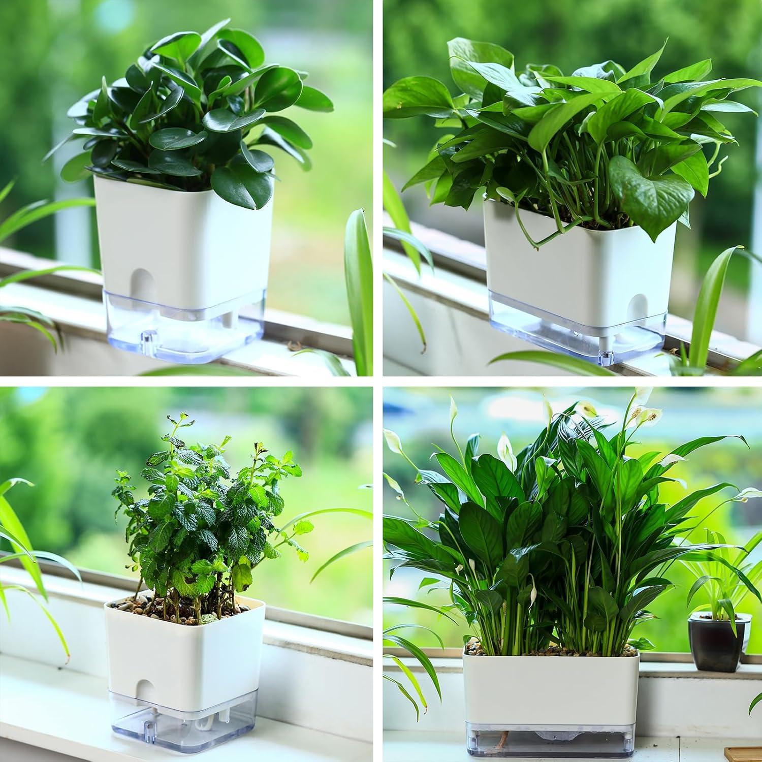 Macetas Autorriego Planterhoma 18 cm Blancas 4 Piezas