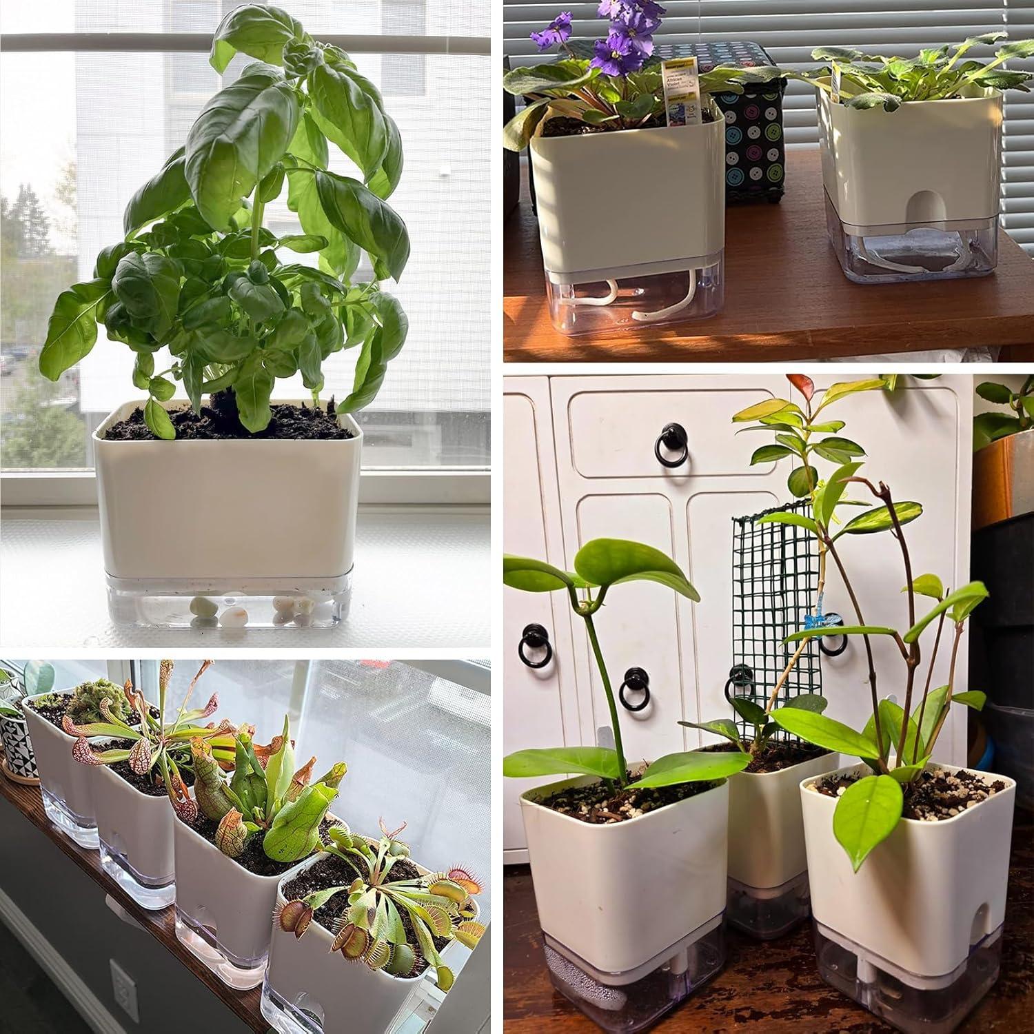 Macetas Autorriego Planterhoma 18 cm Blancas 4 Piezas