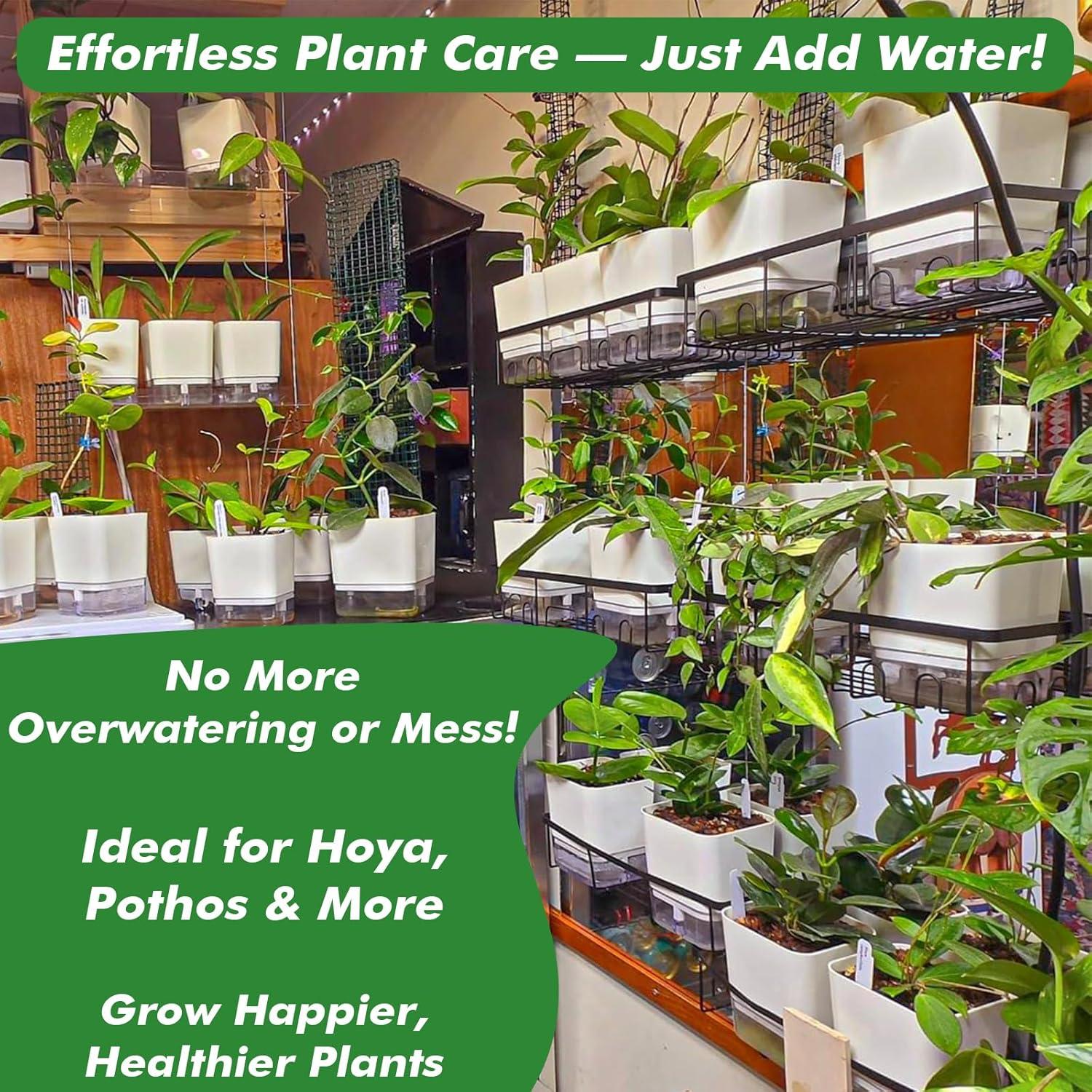 Macetas Autorriego Planterhoma 18 cm Blancas 4 Piezas