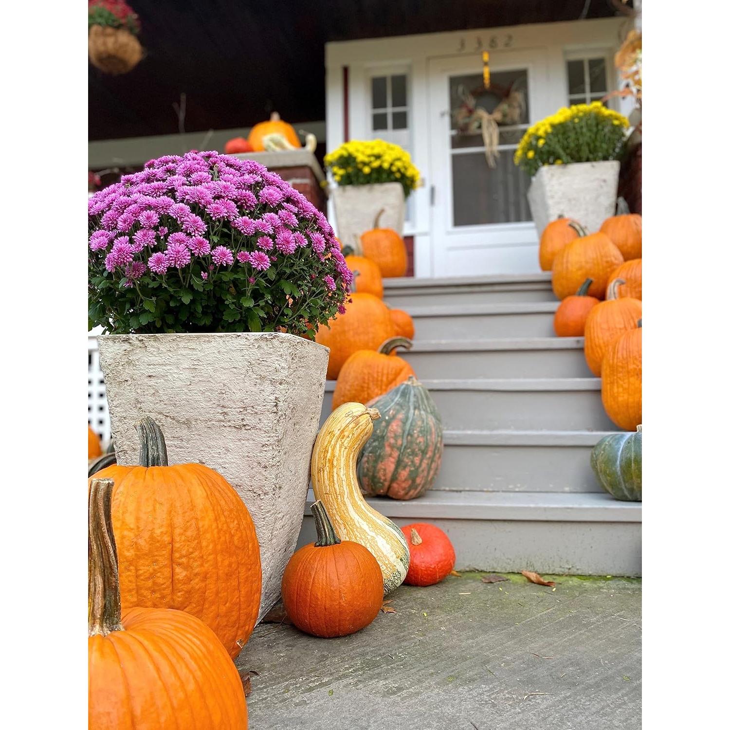 Macetero Cuadrado Alto HC Companies 58.4 cm Resistente Exterior