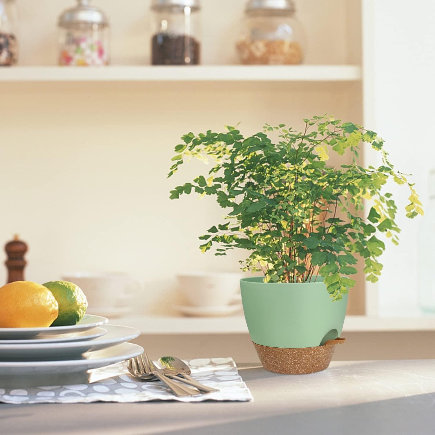 Macetas Autorriego UUBEMM Verde, Juego de 3, 25.4/22.9/20.3 cm