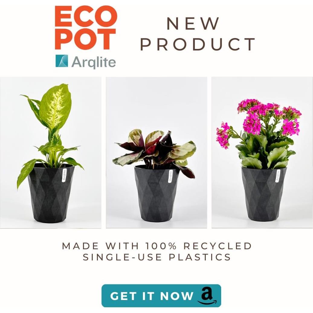 Grava Ecológica Arqlite 2x1 Galón para Drenaje y Jardinería