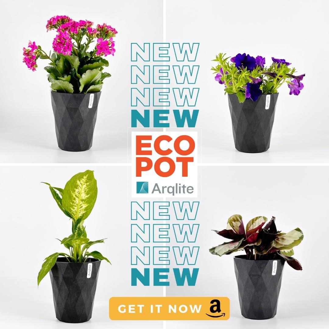 Grava Ecológica Arqlite 2x1 Galón para Drenaje y Jardinería