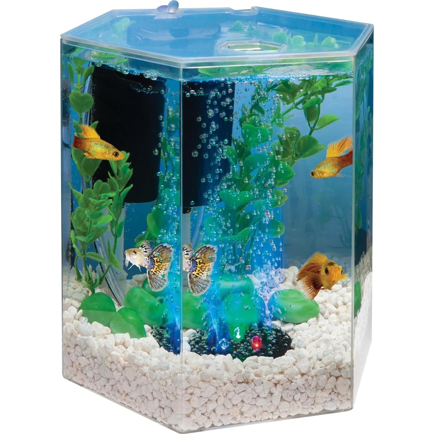 Kit Acuario LED Burbujeante Tetra 1 Galón Hexagonal