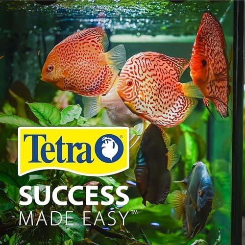 Kit Acuario LED Burbujeante Tetra 1 Galón Hexagonal
