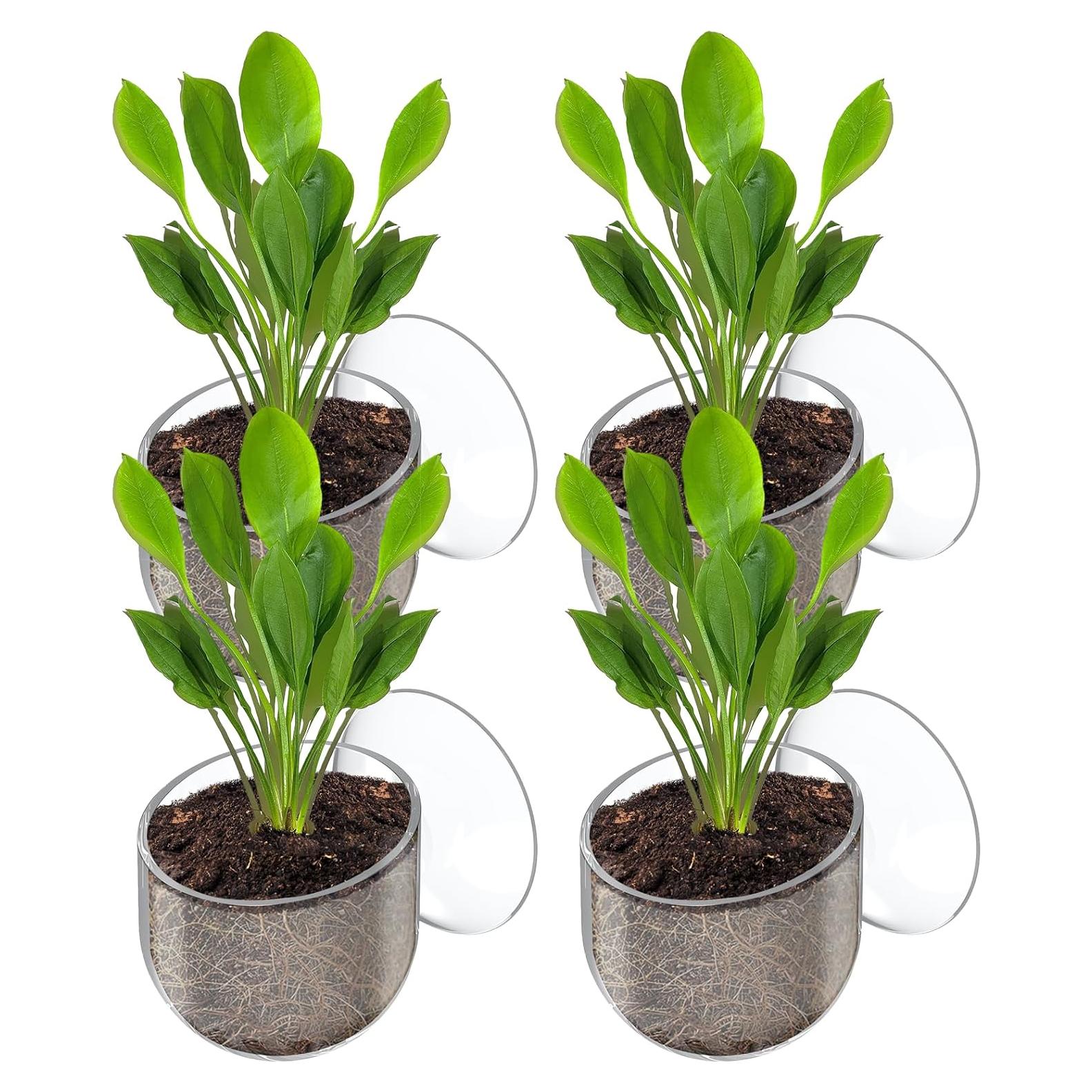 Soporte de Planta para Acuario Pawfly - 4 Pcs, Transparente