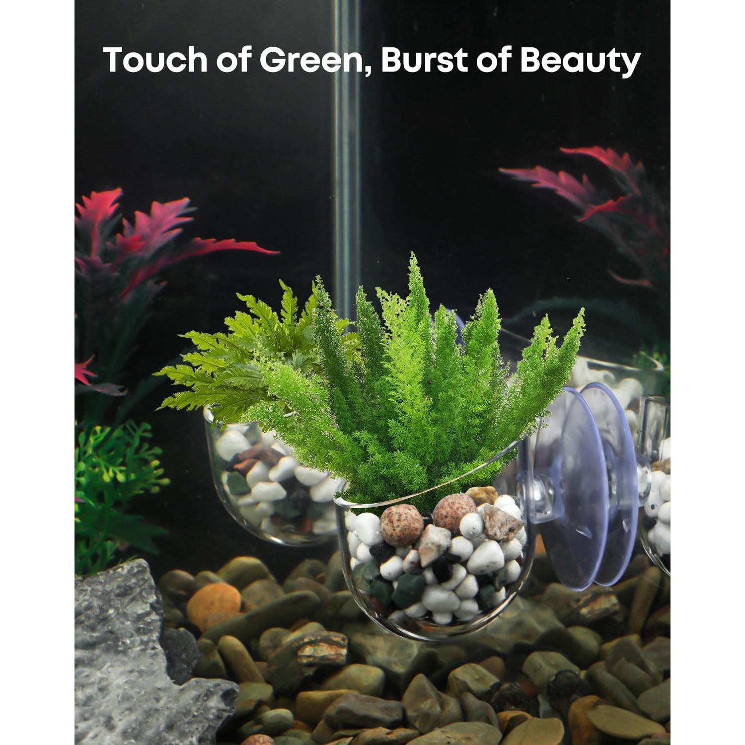 Soporte de Planta para Acuario Pawfly - 4 Pcs, Transparente