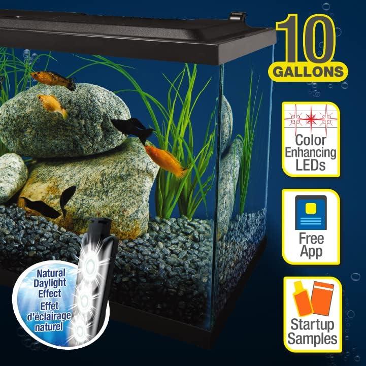 Acuario Tetra 10 Galones Completo con Iluminación LED